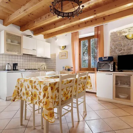 Casa New